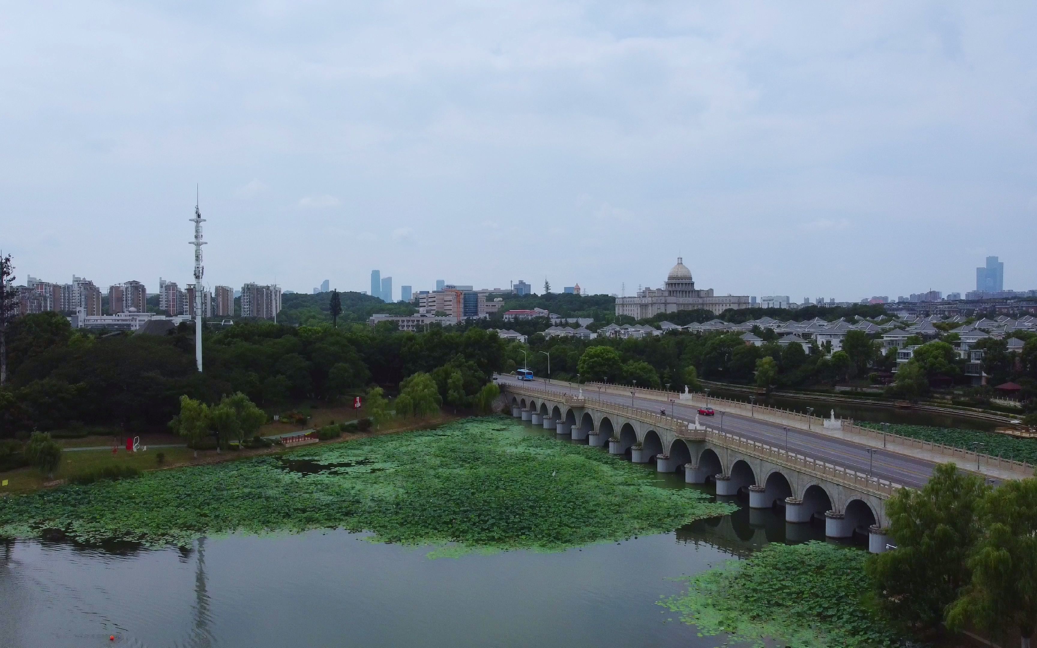 南京花神湖公园图片