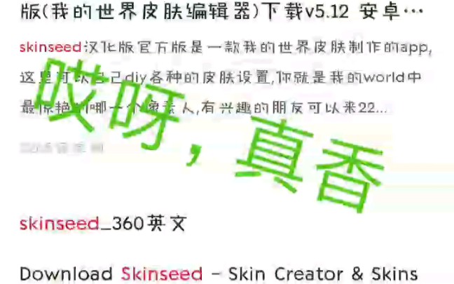 skinseed下载教程,真香哔哩哔哩bilibili