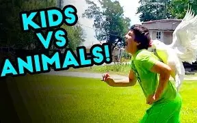 Descargar video: 【The Best Fails】国外搞笑糗事失败集锦：动物VS小孩