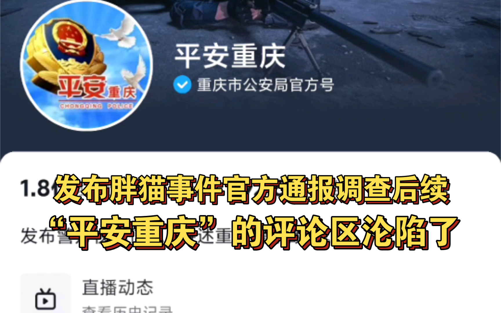 胖猫事件发布官方通报调查后续:“平安重庆”的评论区沦陷了哔哩哔哩bilibili