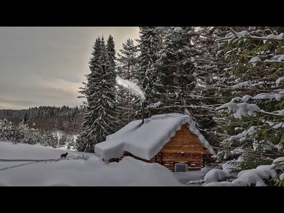 【Siberian森林生活】雪覆盖了整个屋顶,整个冬天都没有人来过这个小屋, 户外烹饪哔哩哔哩bilibili