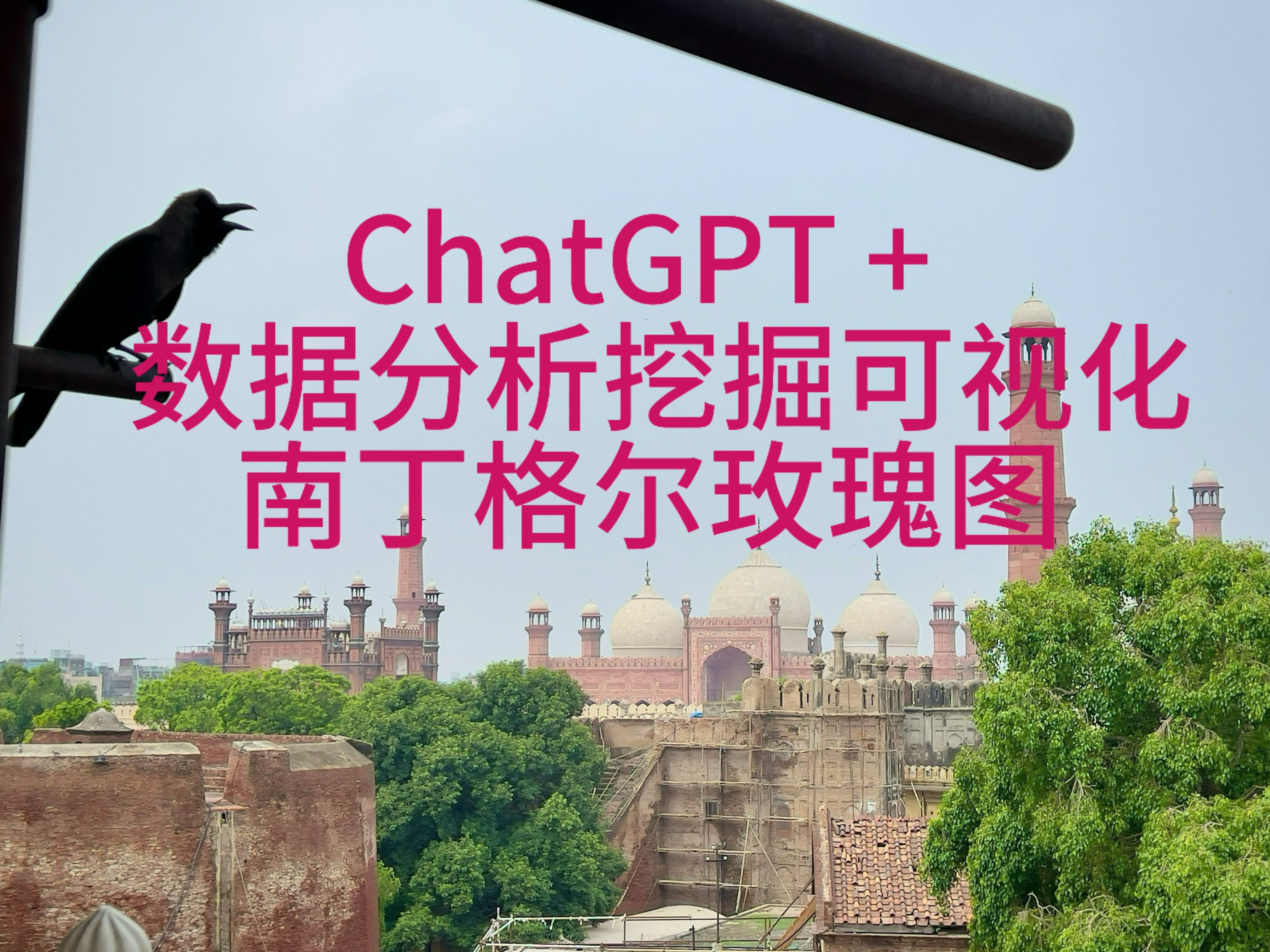 [ChatGPT帮助数据分析挖掘可视化] 12 南丁格尔玫瑰图哔哩哔哩bilibili