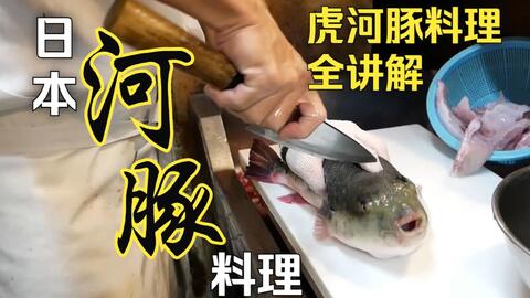河豚的美味究竟有何魅力 走进日本河豚专门店河豚料理全讲解 哔哩哔哩