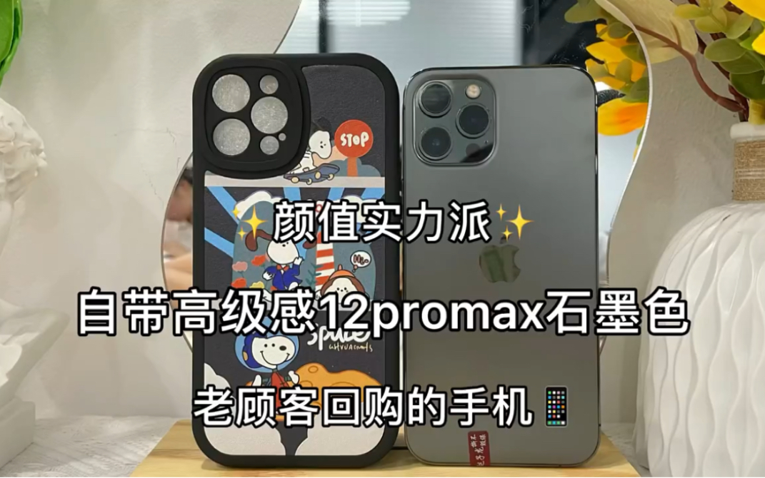 自带高级感12pro Max石墨色哔哩哔哩bilibili