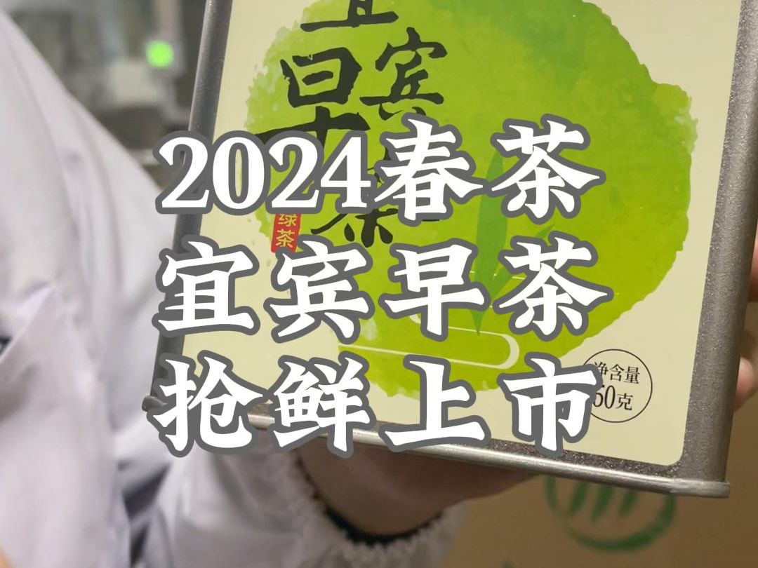 宜宾早茶春茶上市,2024年的第一口“鲜”!哔哩哔哩bilibili