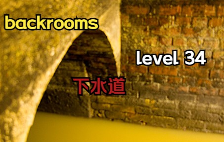 Backrooms]Level 34 下水道系统后室系列_哔哩哔哩_bilibili