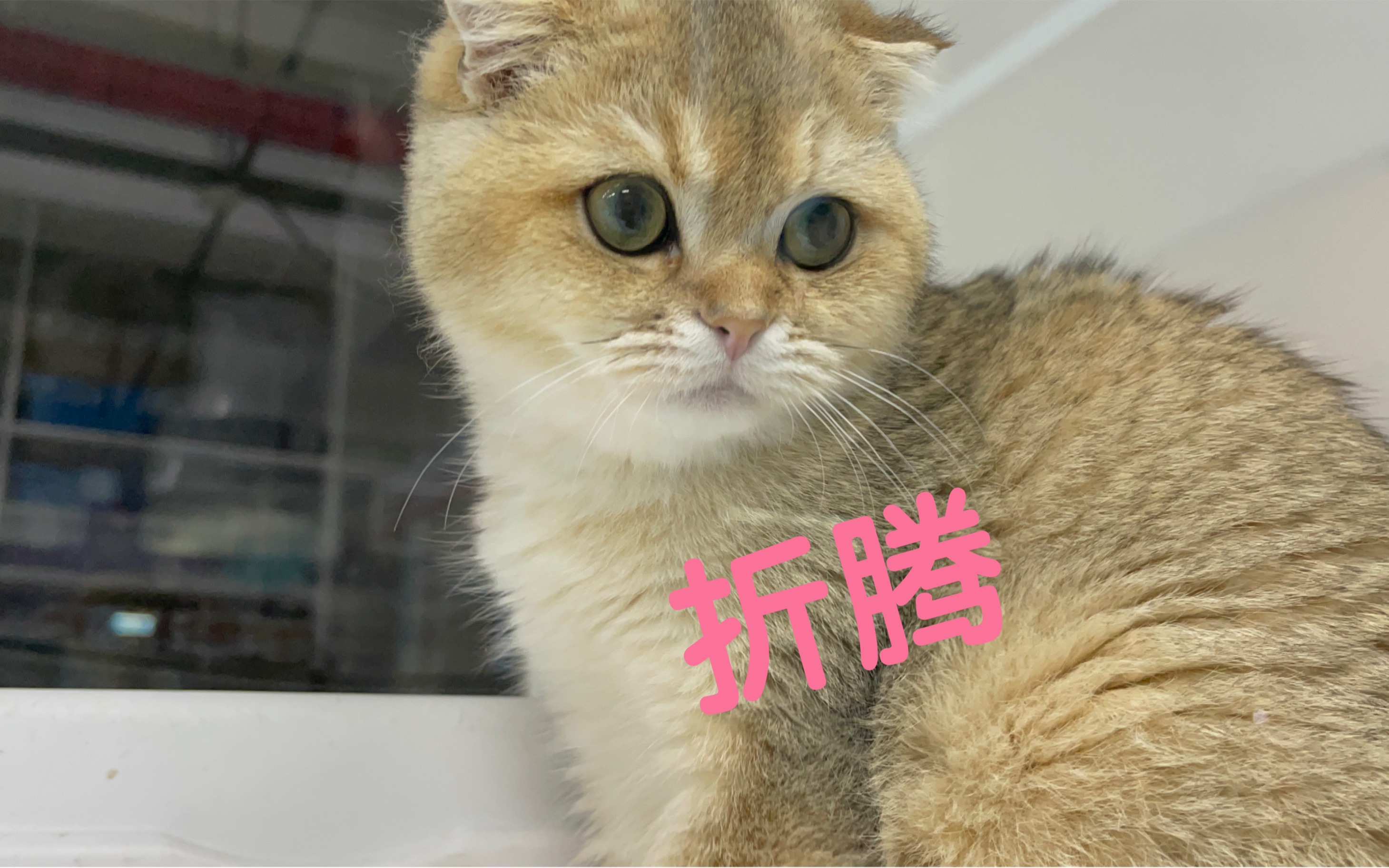 折腾 北京暂缓开学 家长不易