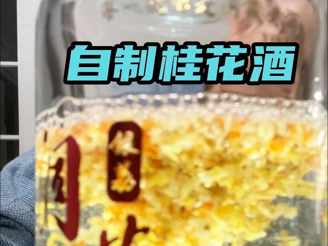 自制桂花酒,你选对酒了吗?哔哩哔哩bilibili