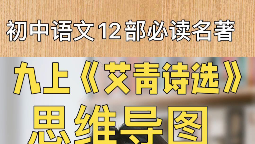 九年级上册语文必读名著《艾青诗选》哔哩哔哩bilibili