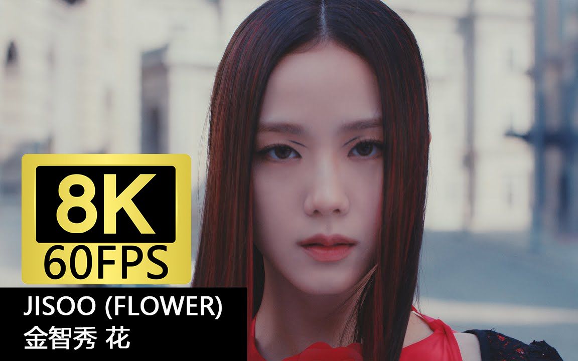 8k 60fps帧 音乐mv 鉴赏 jisoo智秀 -(flower)花