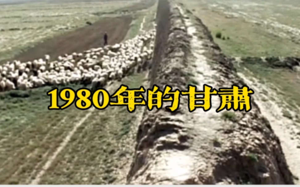 1980年的甘肃实在太穷了哔哩哔哩bilibili