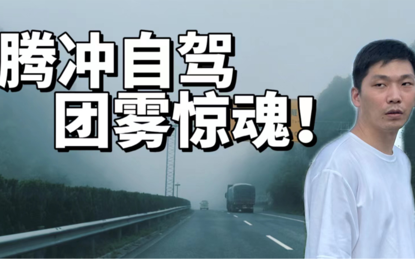 谁也没说过腾冲自驾游有危险啊!团雾、高强度登山、还要辨别菌子,原谅没见过世面的外地人吧哔哩哔哩bilibili