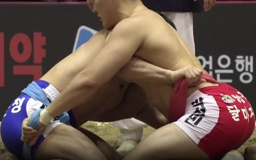 【强人锁男】韩国传统摔跤 运动员肌肉饱满 颜值还高_哔哩哔哩_bili