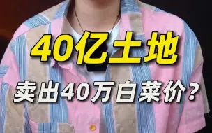 Descargar video: 40亿土地卖出40万白菜价？