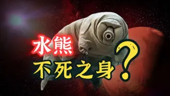 Descargar video: [究极生物02] 如何杀死一只水熊虫？揭秘水熊虫“永生”的真相与原理