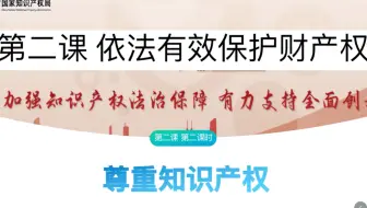 高中政治选择性必修二  2.2《尊重知识产权》