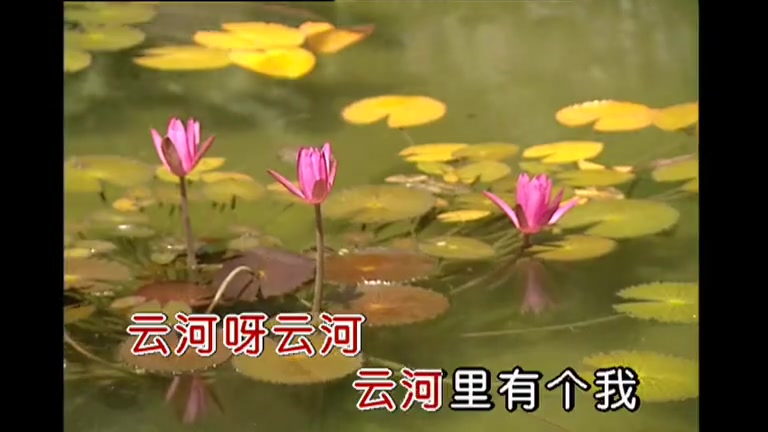 歌曲云河邓丽君