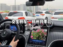 下载视频: 女生开车｜杭州高架看满月季花