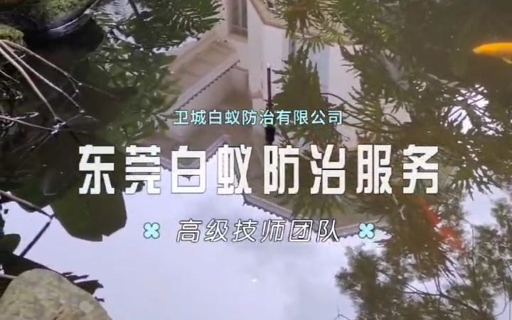 东莞白蚁防治,东莞白蚁防治公司,东城南城莞城万江石碣高埗有白蚁找卫城虫控哔哩哔哩bilibili