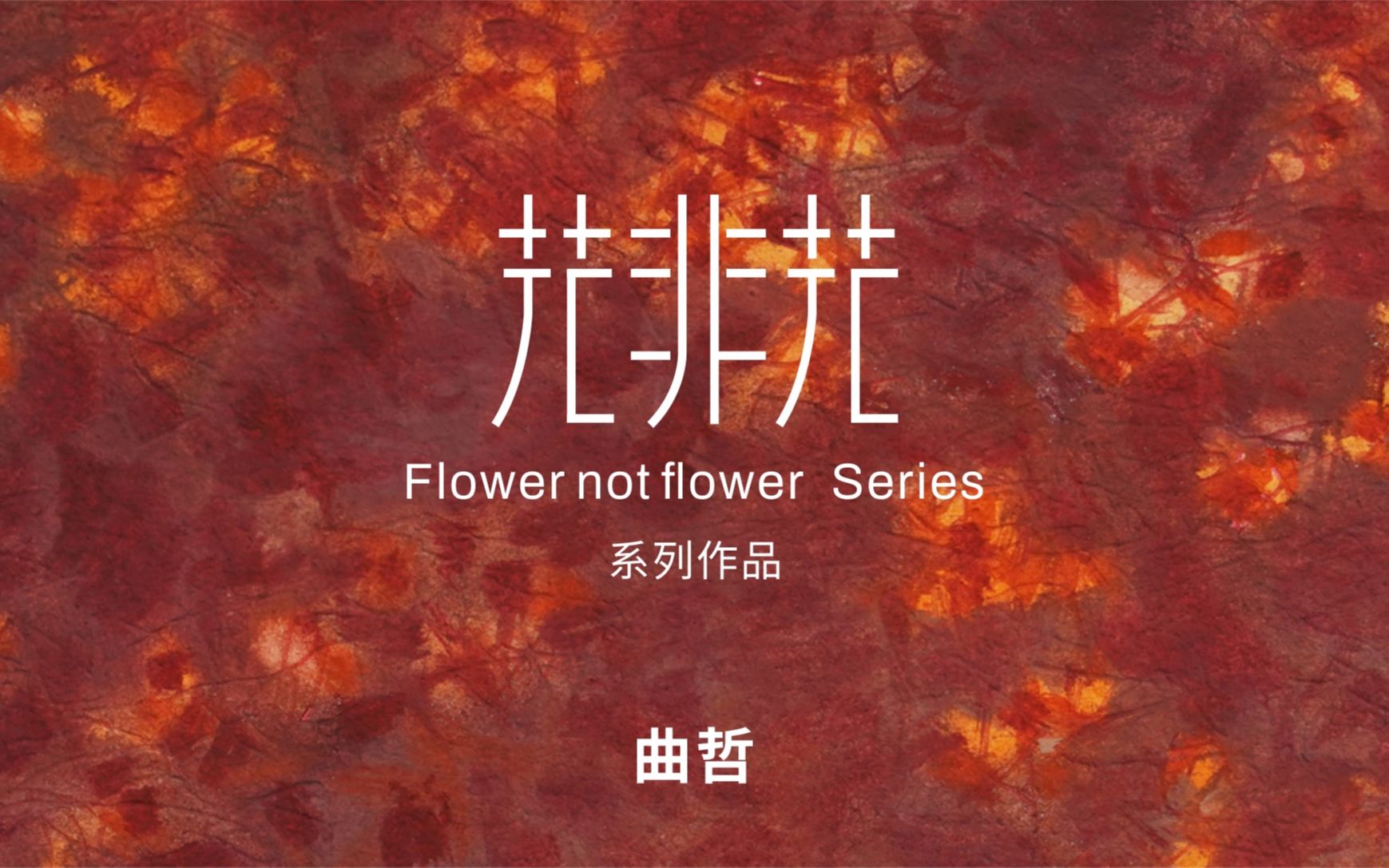 花非花系列|作品展示(浙江工业大学教授曲哲)哔哩哔哩bilibili