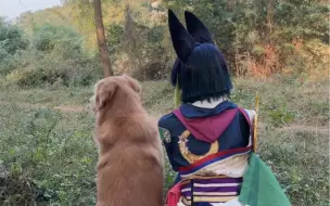 Video herunterladen: 犬科动物有些小默契