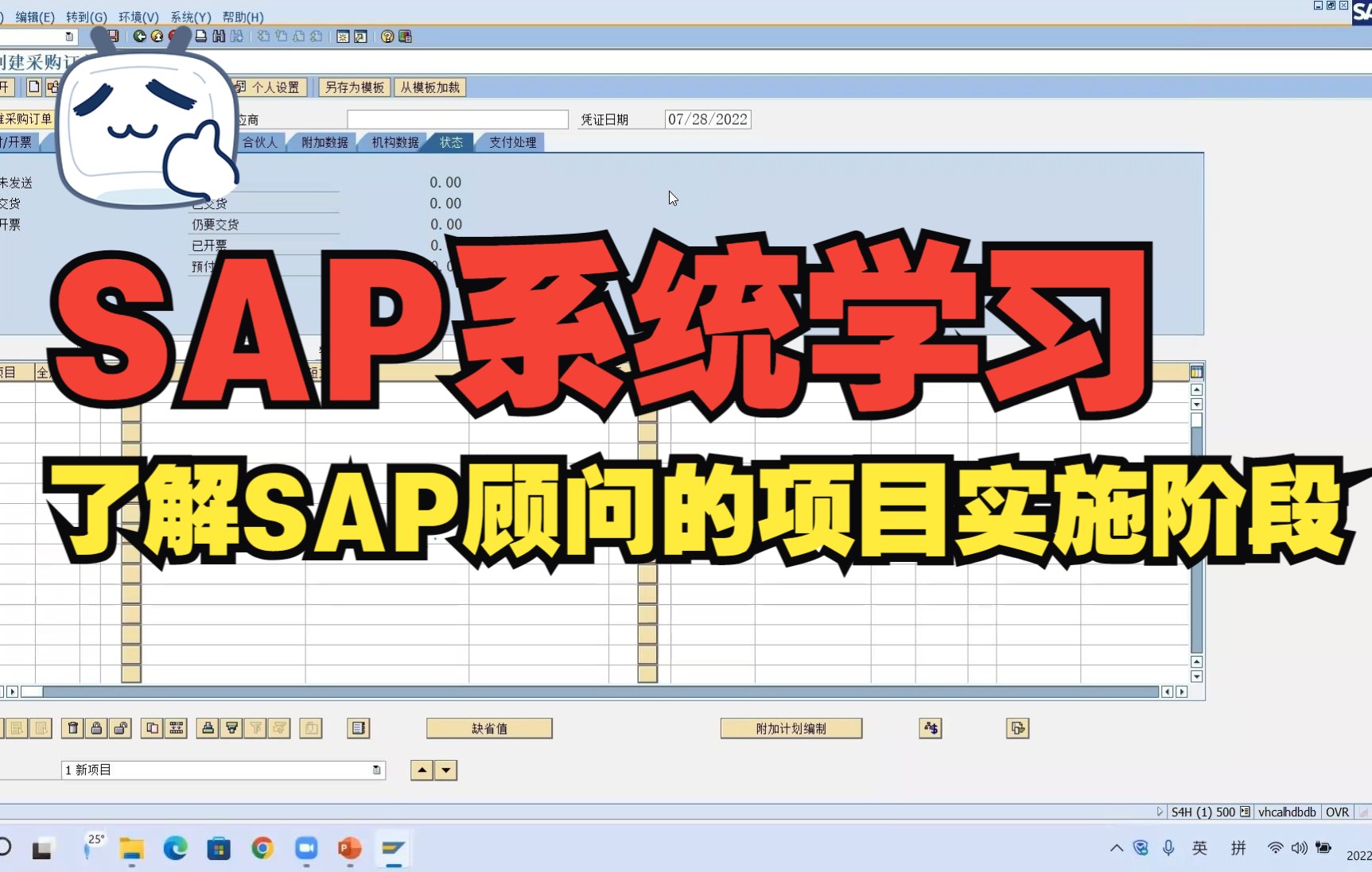 SAP从入门到精通 了解SAP顾问在项目实施中的各个阶段哔哩哔哩bilibili