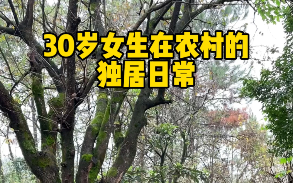 30岁一个人在农村的生活是什么样的呢 首先在农村生活节奏比较慢,很舒心,每天不管干什么都比较悠闲,哪怕是上班也是这样哔哩哔哩bilibili