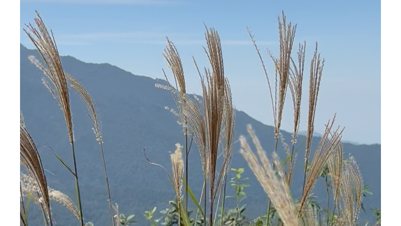 江西武宁神雾山