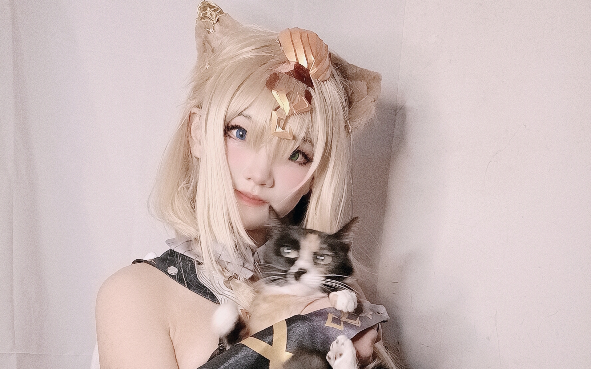 【帕朵菲莉斯cos】帕朵猫猫摇