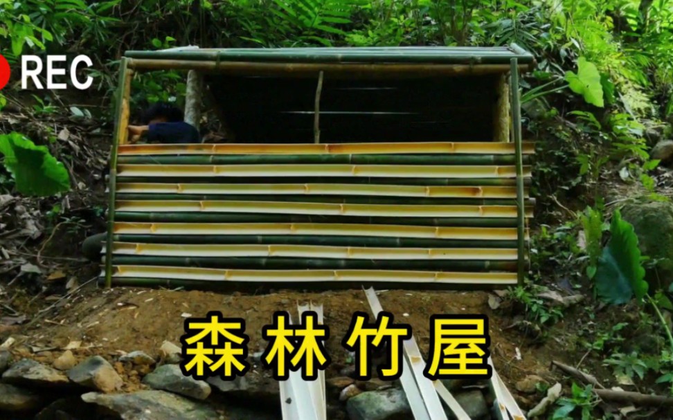 荒野建造之森林竹屋~#野外建造 #荒野独居 #荒野搭建