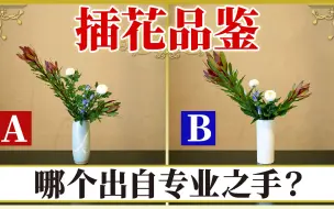 Скачать видео: 【插花教学】插花大师vs插花小白，试试你的火眼金睛？插花对比 日本花道