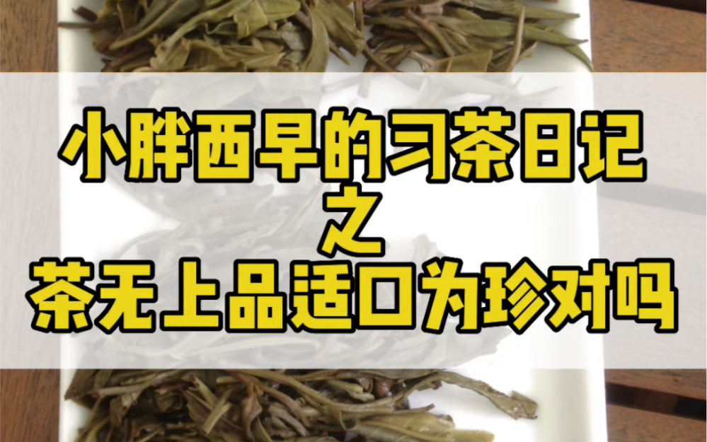 「茶无上品,适口为珍」到底是多大的一个坑?#普洱茶 #普洱茶知识哔哩哔哩bilibili