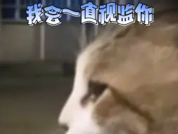 Video herunterladen: 请还它妈生脑子