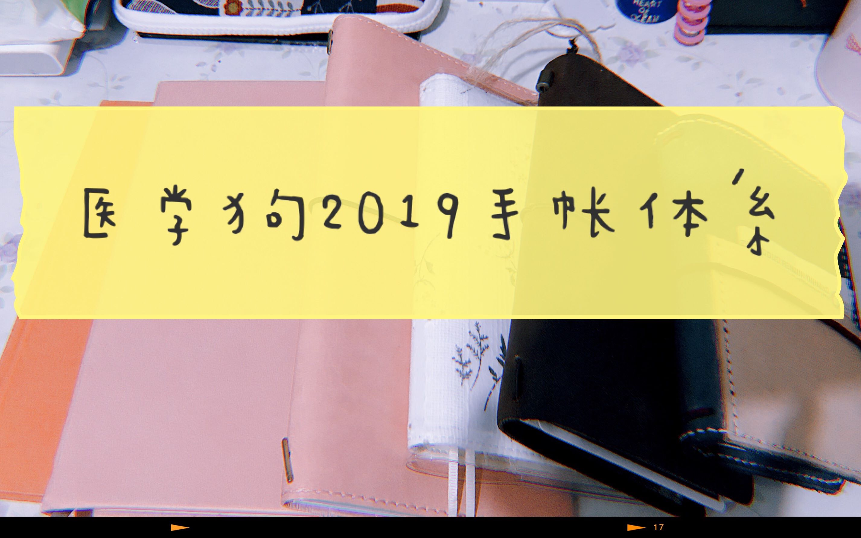 医学生的2019手帐体系哔哩哔哩bilibili