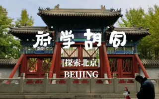 府学小学 搜索结果 哔哩哔哩 Bilibili