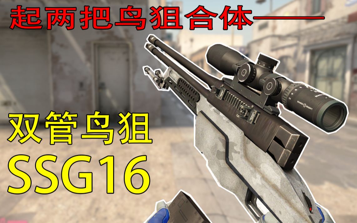 【CSGO】起不了大狙？UP竟起两把鸟狙合体成狙击神器_哔哩哔哩_bilibili