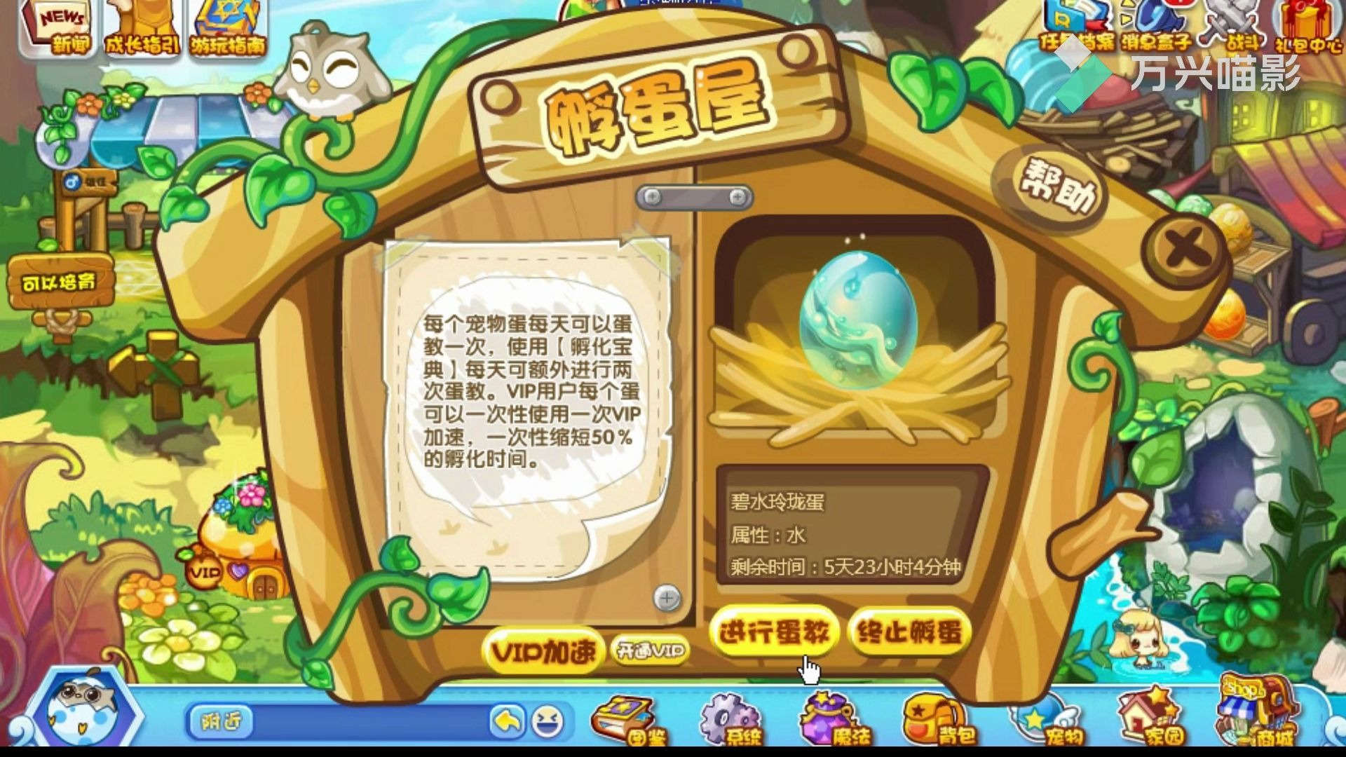 活動 洛克王國:進化遠古寵物--神聖人魚