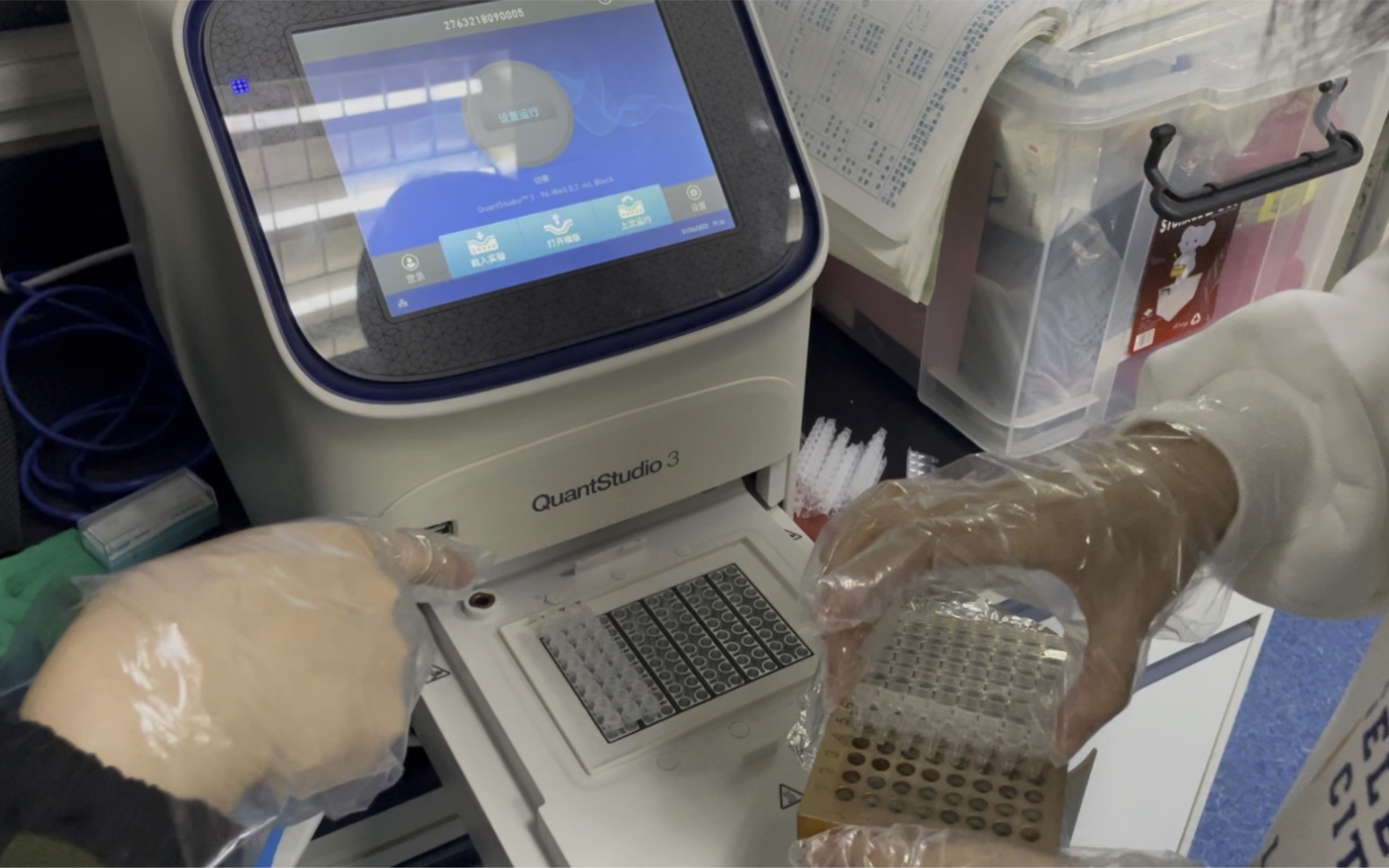 Thermo Fisher QuantStudio 3 Real-Time PCR Operation