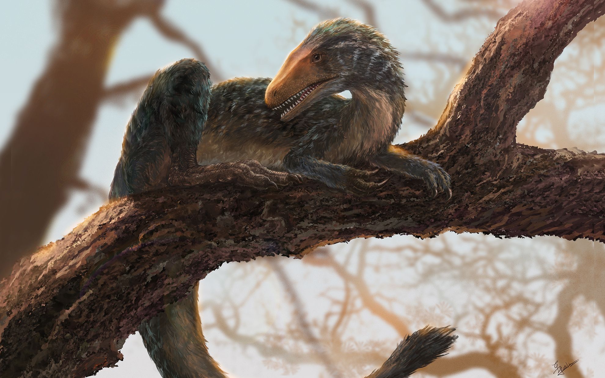 很多时候恐龙都是在树上蹦跶的 板绘 恐龙 中华丽羽龙_哔哩哔哩_bili