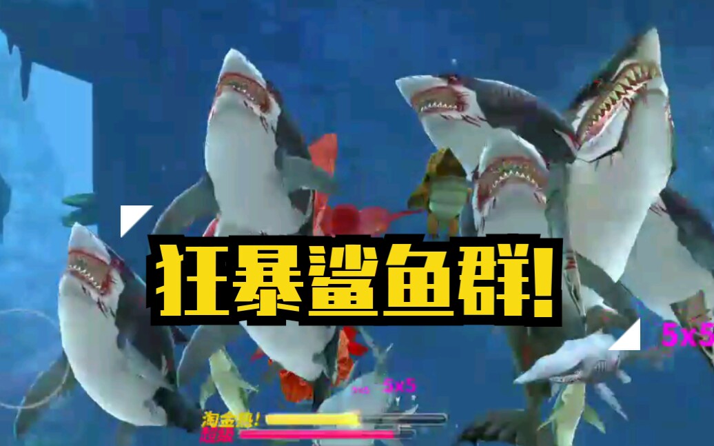 这才叫真正的狂暴鲨鱼群!
