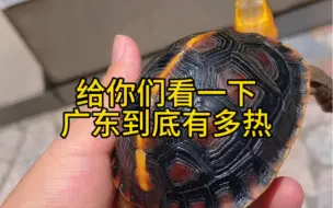 Descargar video: 广东到底有多热