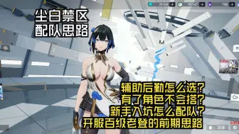 Download Video: 【尘白禁区】开服百级老登的配队思路，带你无痛搭配辅助角色及后勤，不同特性该如何选择，轻松过地下清理等常规玩法