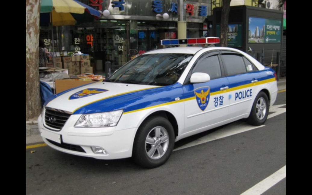 【car parking】韩国警车涂装展示