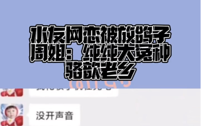 [图]水友跟周姐诉苦网恋被放鸽子，周姐：纯纯大冤种这不是骆歆老乡嘛