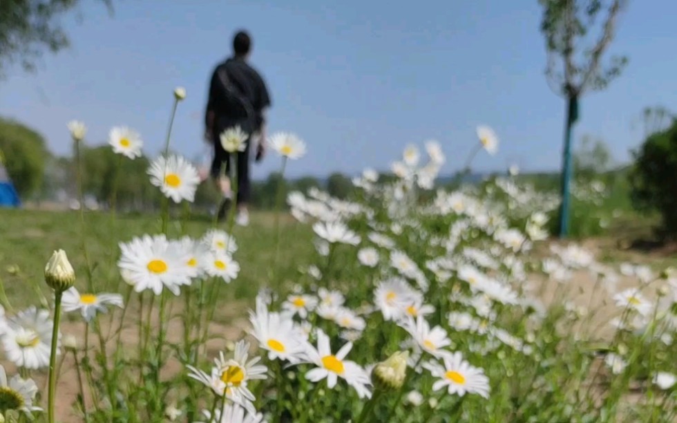 [图]感受初夏第一缕微风吧