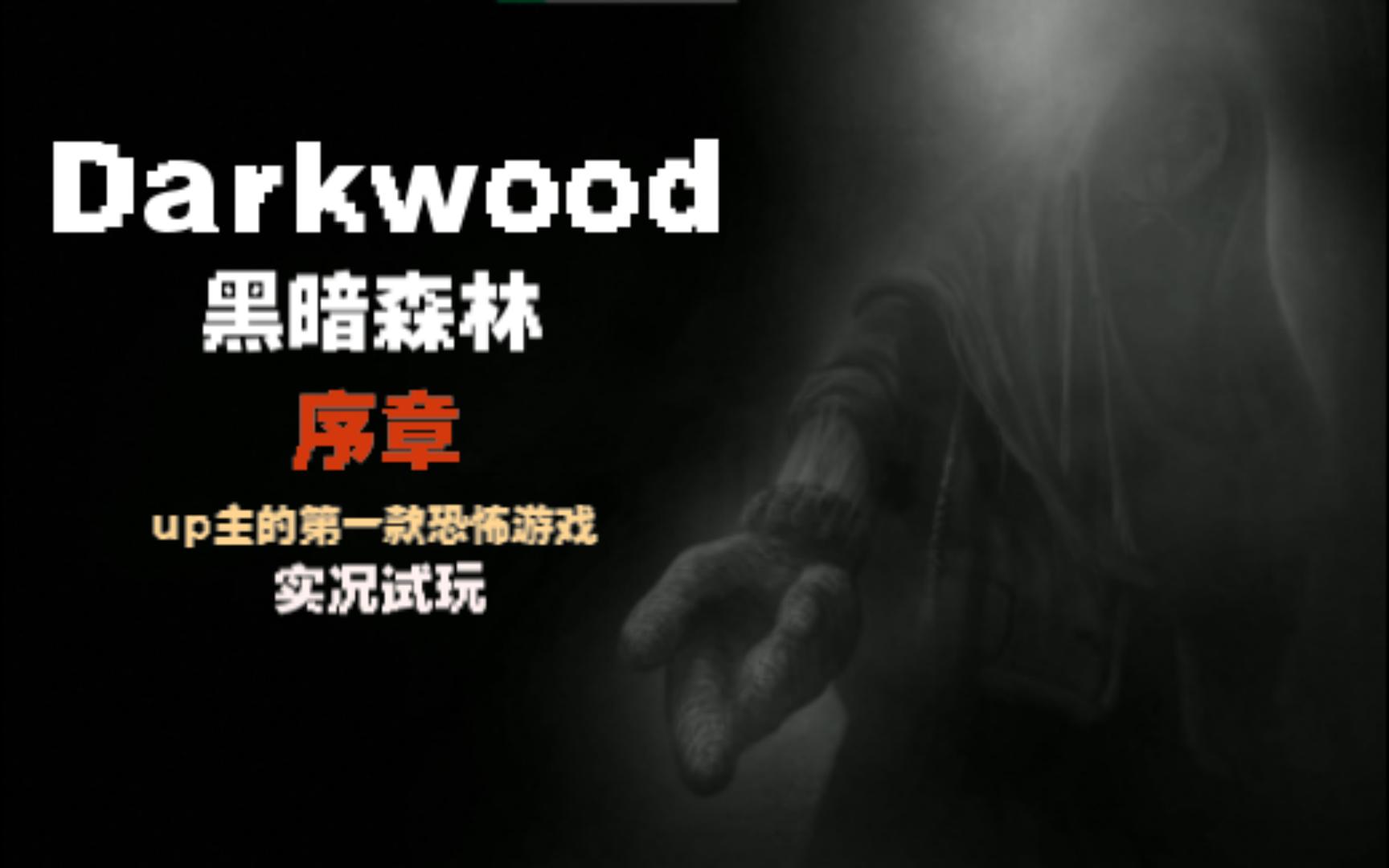 【Darkwood/黑暗森林】up人生的第一款恐怖游戏,没有任何jump scare,但也很恐怖的生存游戏.黑暗森林:序章哔哩哔哩bilibili实况