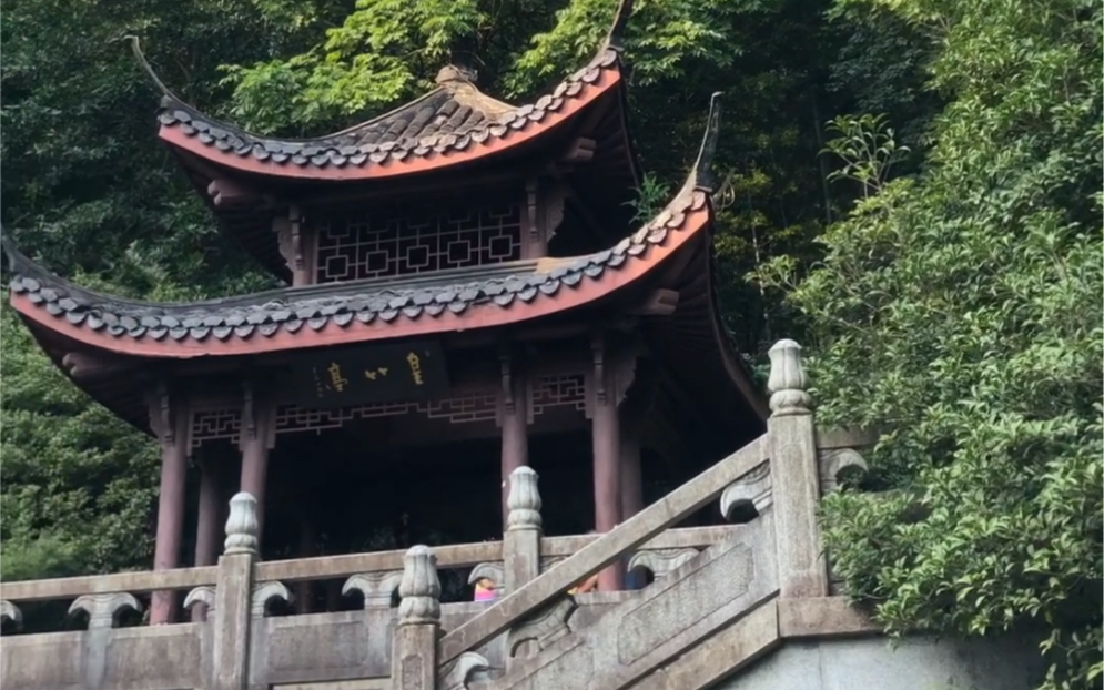 秋高气爽,来杭州云栖竹径最深处皇竹亭吧,吸吸氧,看看竹,走下蜿蜒小道