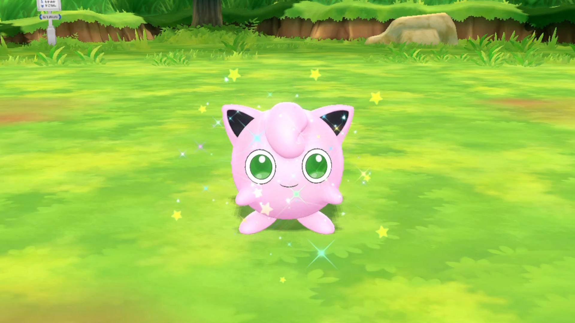 天真的闪光胖丁,经常睡午觉!lple