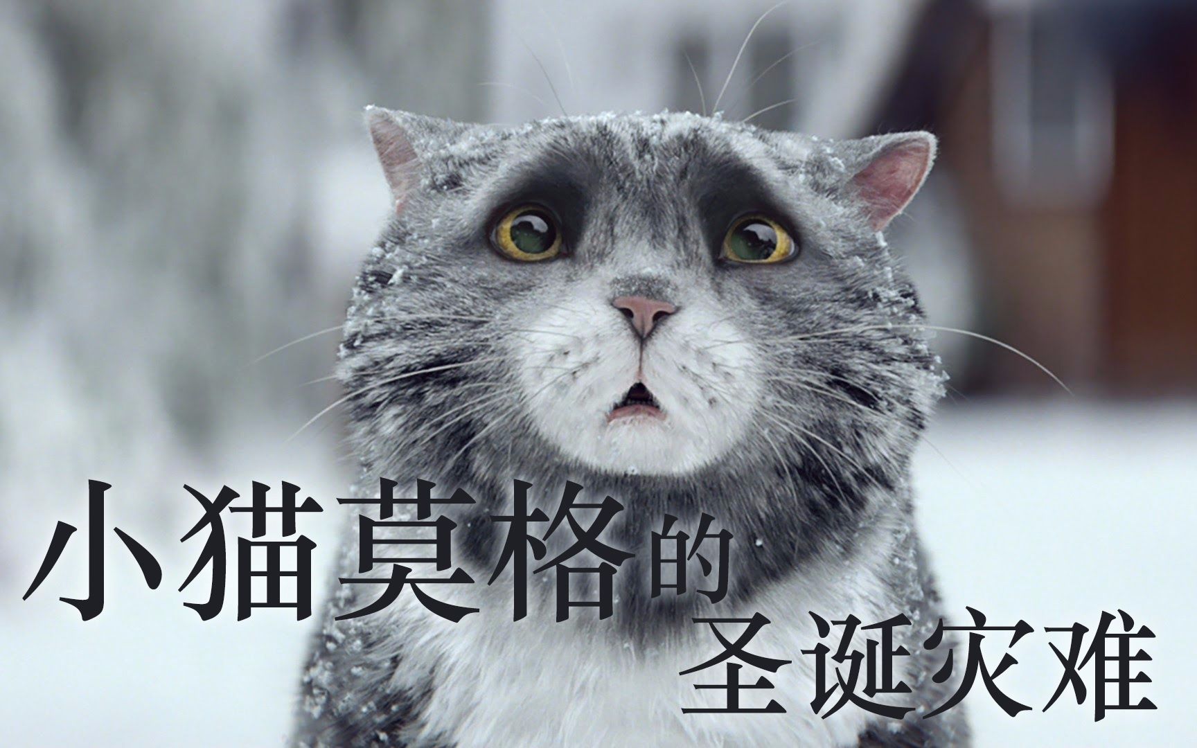 [图]【圣诞短片】小猫莫格的圣诞灾难——森宝利超市2015年圣诞广告【暂未成立字幕组 中英字幕】