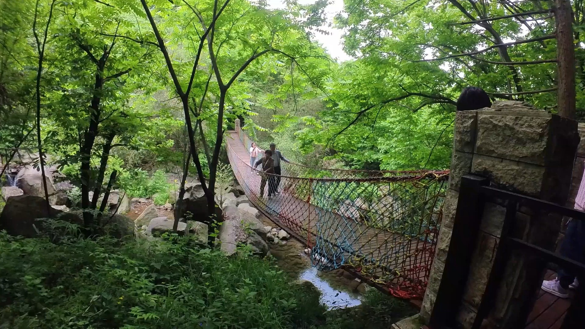 2024.51游之龙井沟